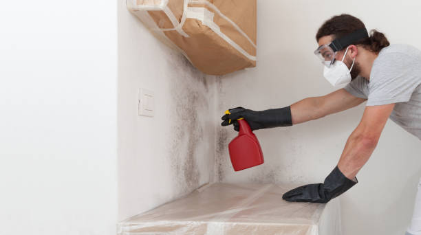 Professional Attic Mold Removal technician working in Weston, NJ