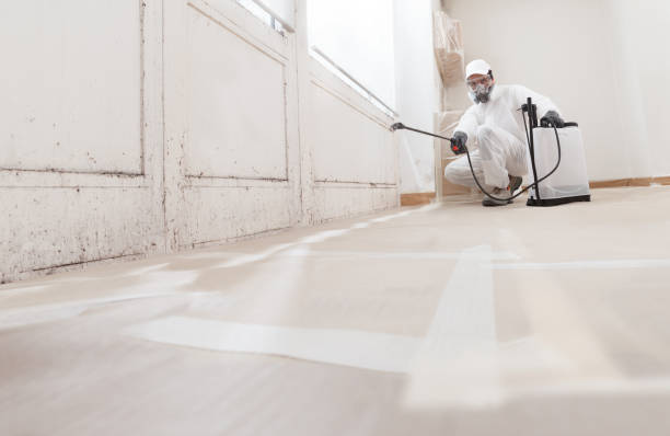 24/7 Emergency Attic Mold Removal experts in Weston, NJ