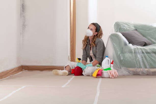 Reliable Attic Mold Removal contractor in Weston, NJ by WQB Mold Removal