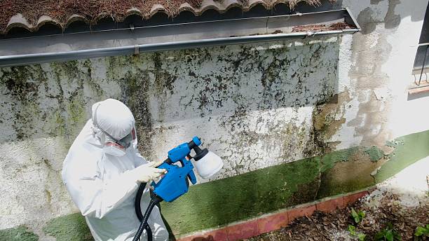 Top rated local Attic Mold Removal specialists in Weston, NJ